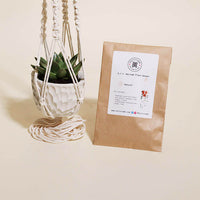 Macrame Plant Pot Hanger Kit