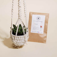 Macrame Plant Pot Hanger Kit