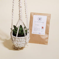 Pottery + Macrame Plant Hanger Starter Kit