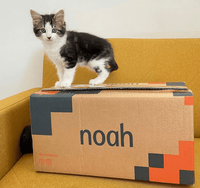 noah branded Boxes