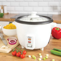 Rice Cooker